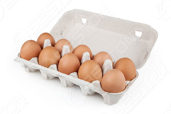 10 Pcs Egg Box